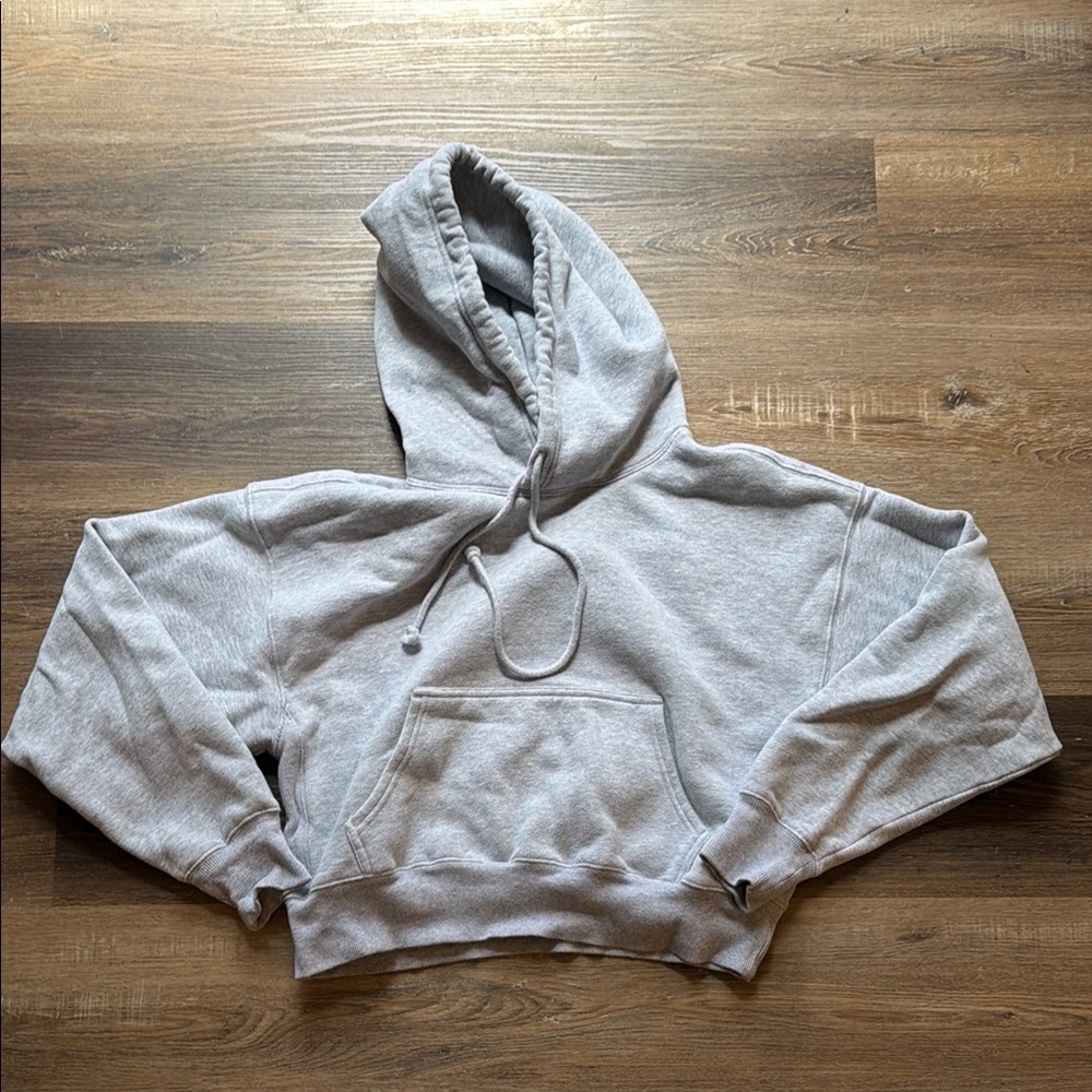 Aritzia TNA Cozy Sweatfleece Hoodie boyfriend fit